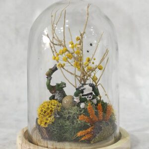 🪲🌿 Cúpula Wolhamers – Naturaleza encantada bajo cristal