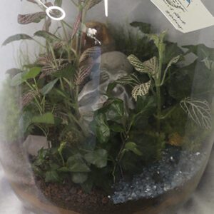 Ecosistemas