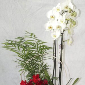 Regalos profesores