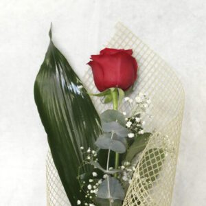 Prendido de rosa